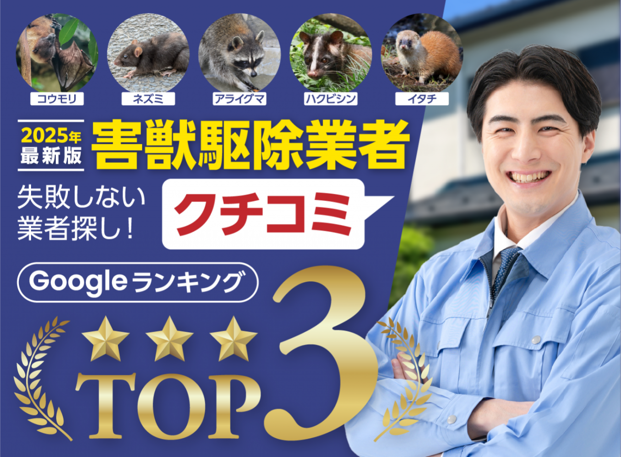 2025年最新版 害獣駆除業者クチコミランキング 失敗しない業者探し!