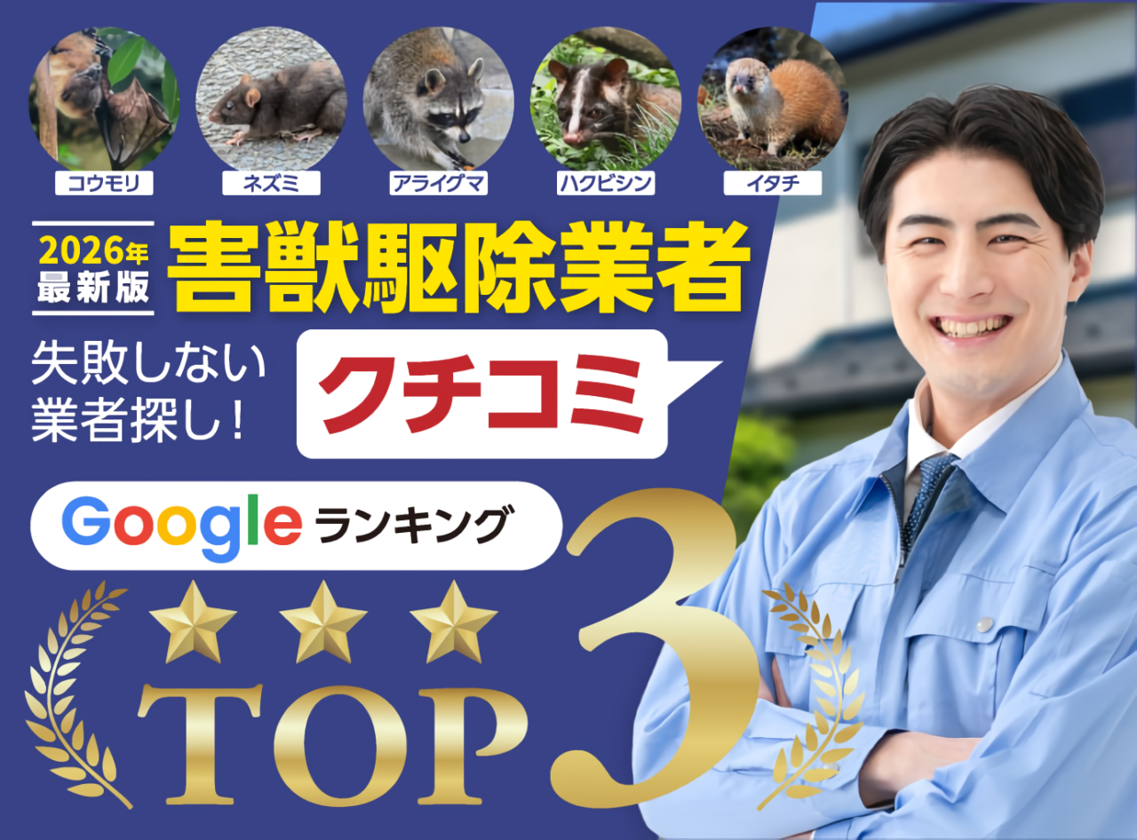 2026年最新版 害獣駆除業者クチコミランキング 失敗しない業者探し!